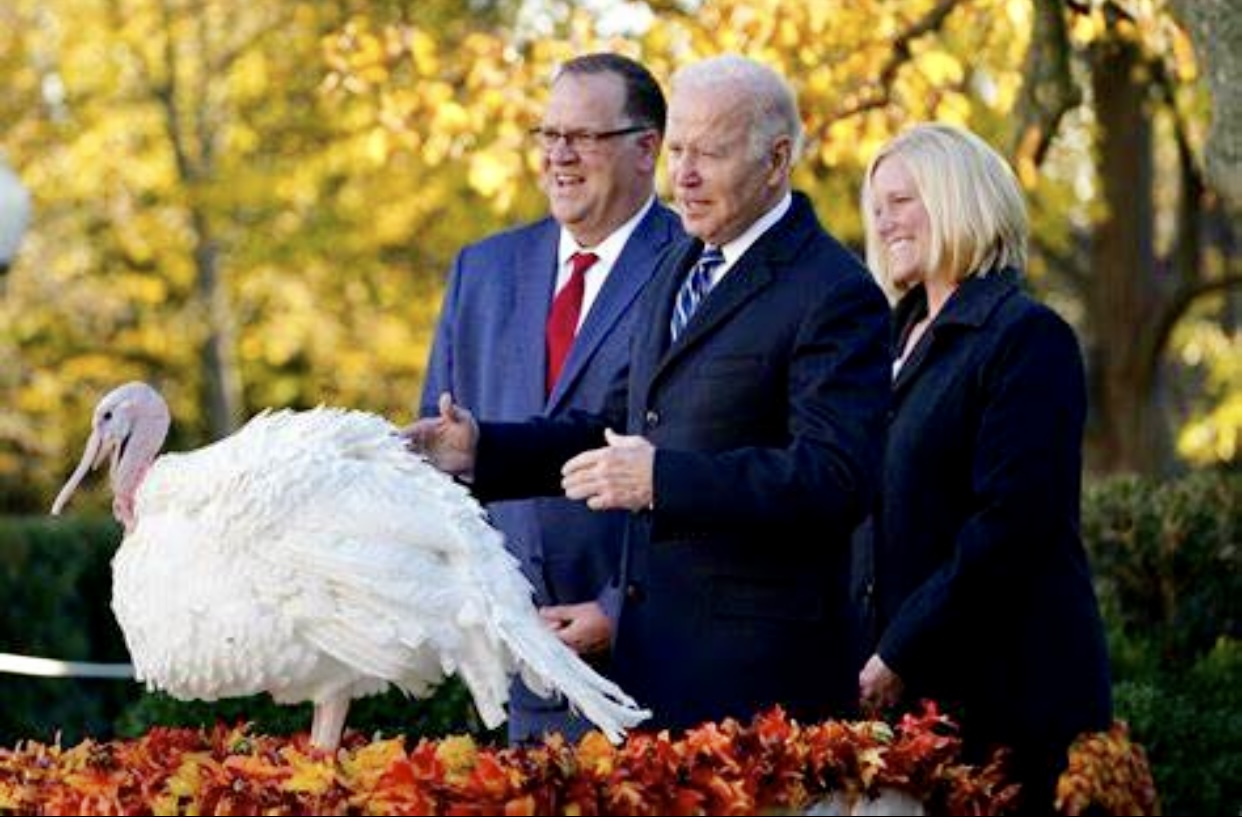 Biden pardoned white Turkey, black one is Euthanized, told you he’s racist!